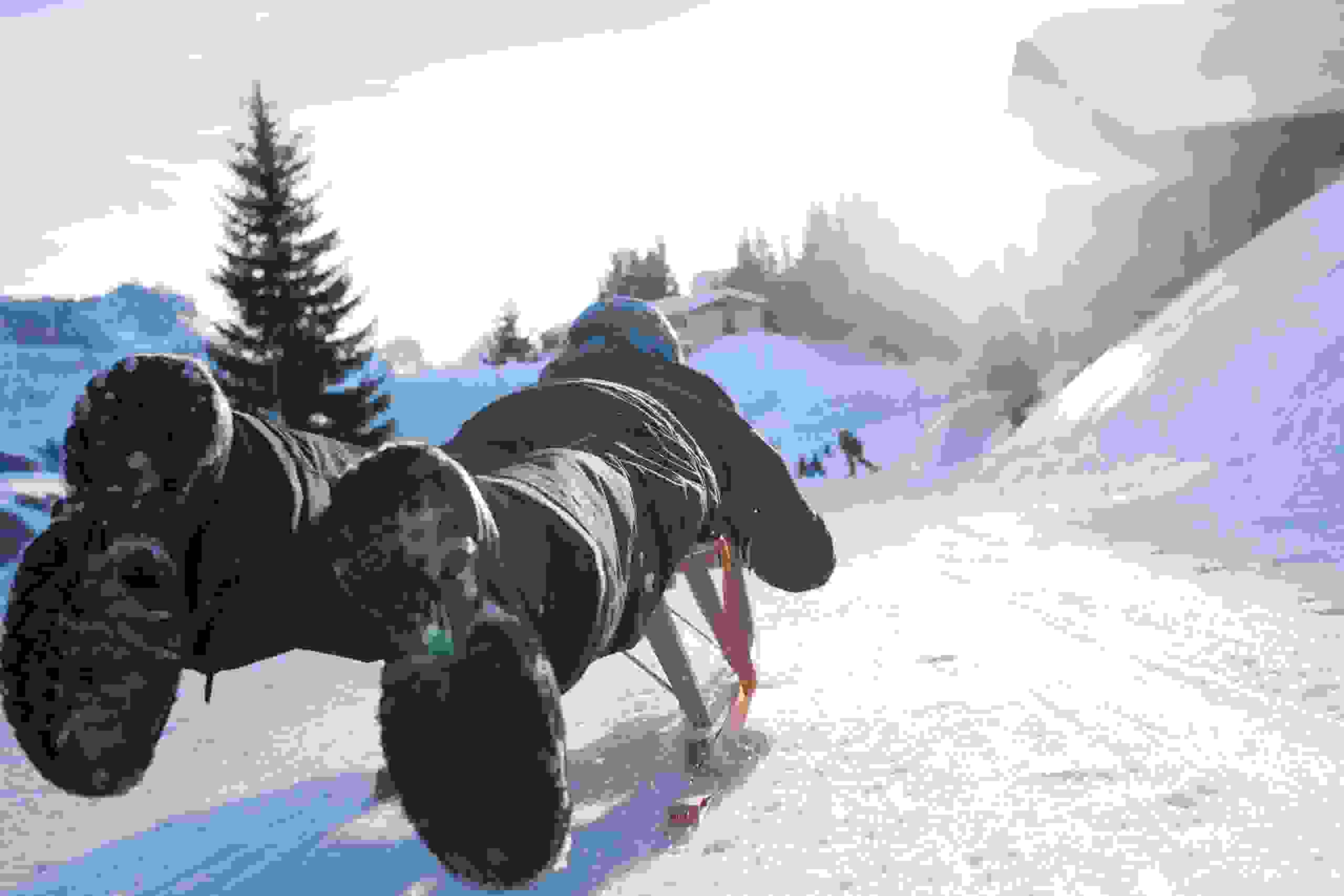 winter_skigebiet_marbachegg_marbach_schlitteln_abendschlitteln_maurin_bisig_02_19_2.jpg winter_skigebiet_marbachegg_marbach_schlitteln_abendschlitteln_maurin_bisig_02_19_2.jpg