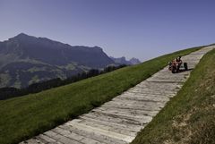Cart-Spass
