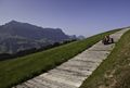 Cart-Spass