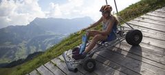 Cart-Spass