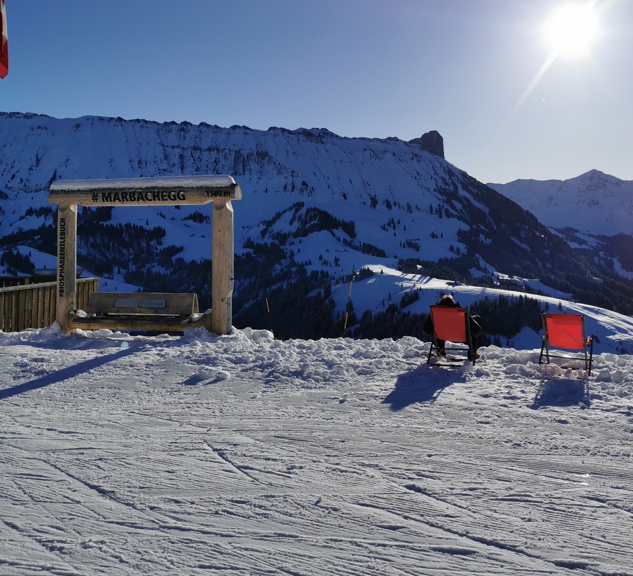 IMG_20250202_094613.....