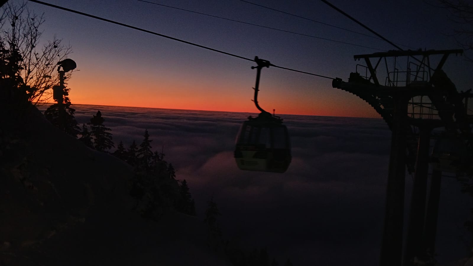 54668146-393e-4dc1-a413-243c7d6f0240