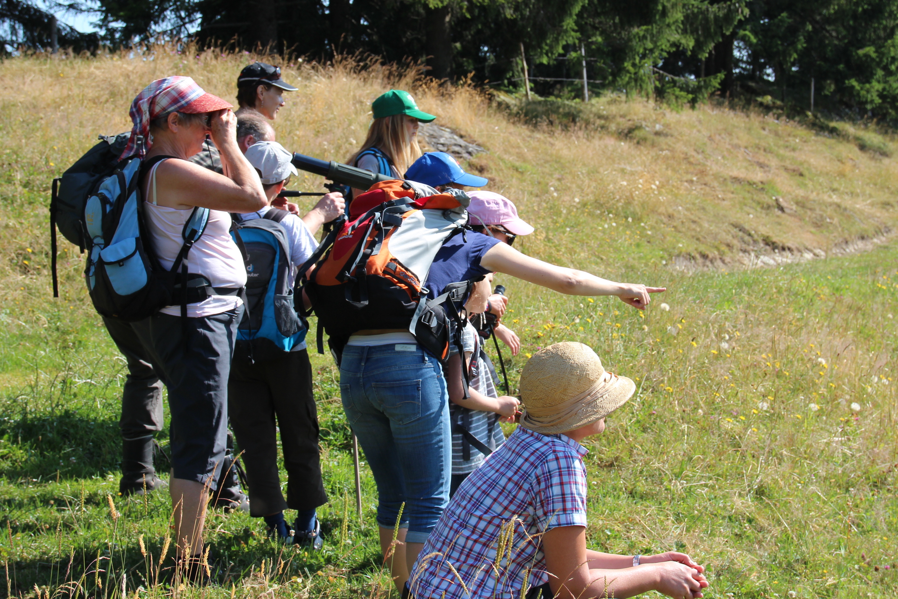 5 2015_07_15_Exkursion_Murmeli, Dachs und Hirsch_Leitung Walter Bieri_Beobachtung Murmeltier_Marbachegg_Marbach_Schangnau_RP (10)