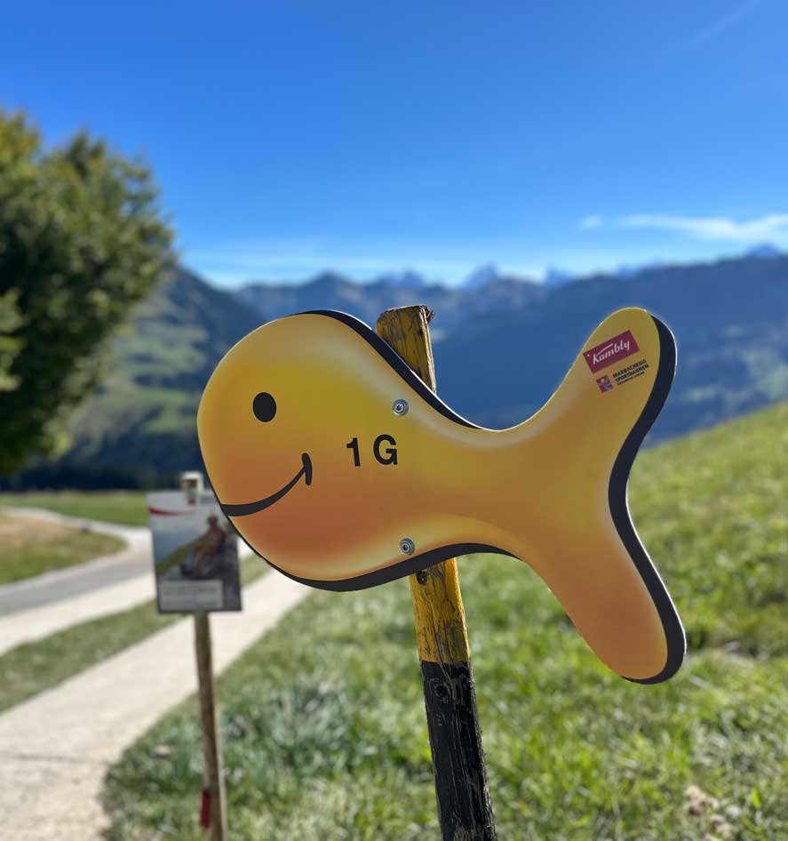Goldfish-Suche.jpg Goldfish-Suche