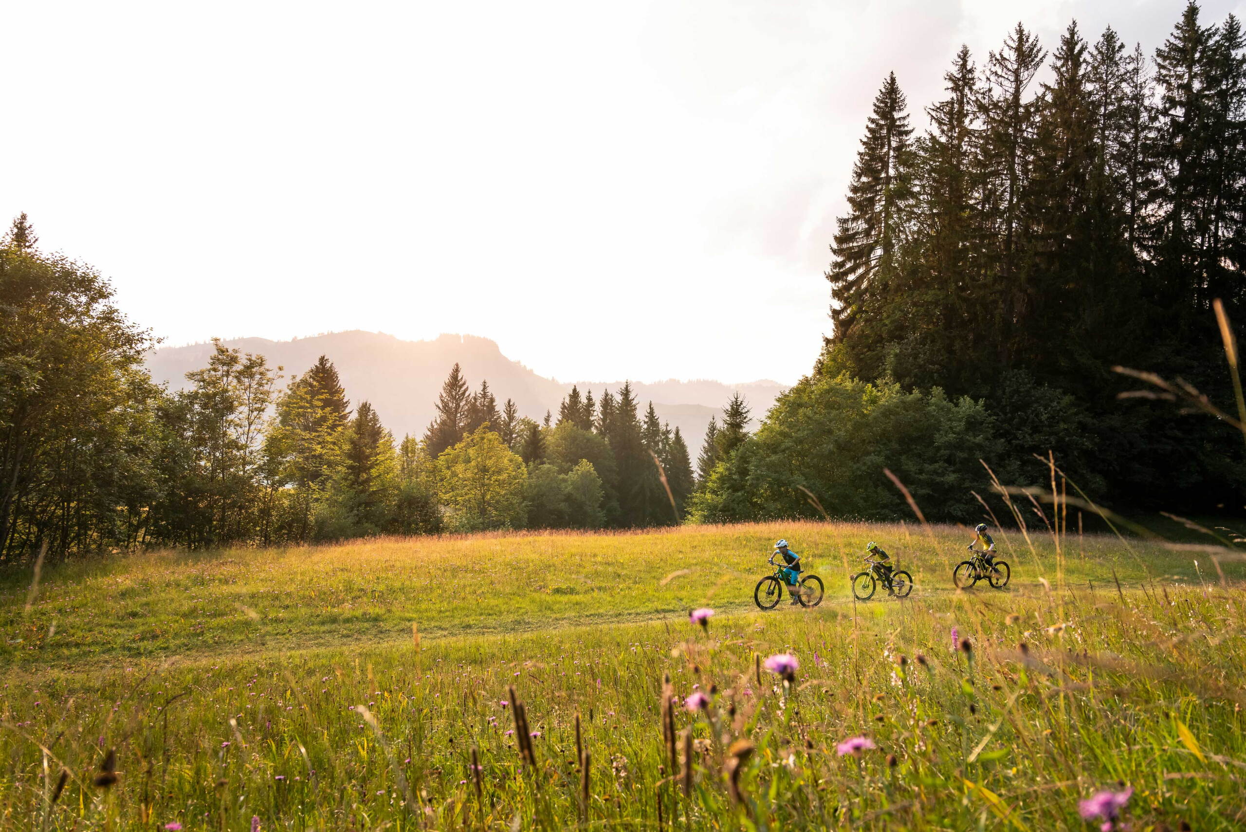 sommer_biken_clientis-flowtrail-marbachegg_marbach_gaudenz-danuser_740x494.jpg