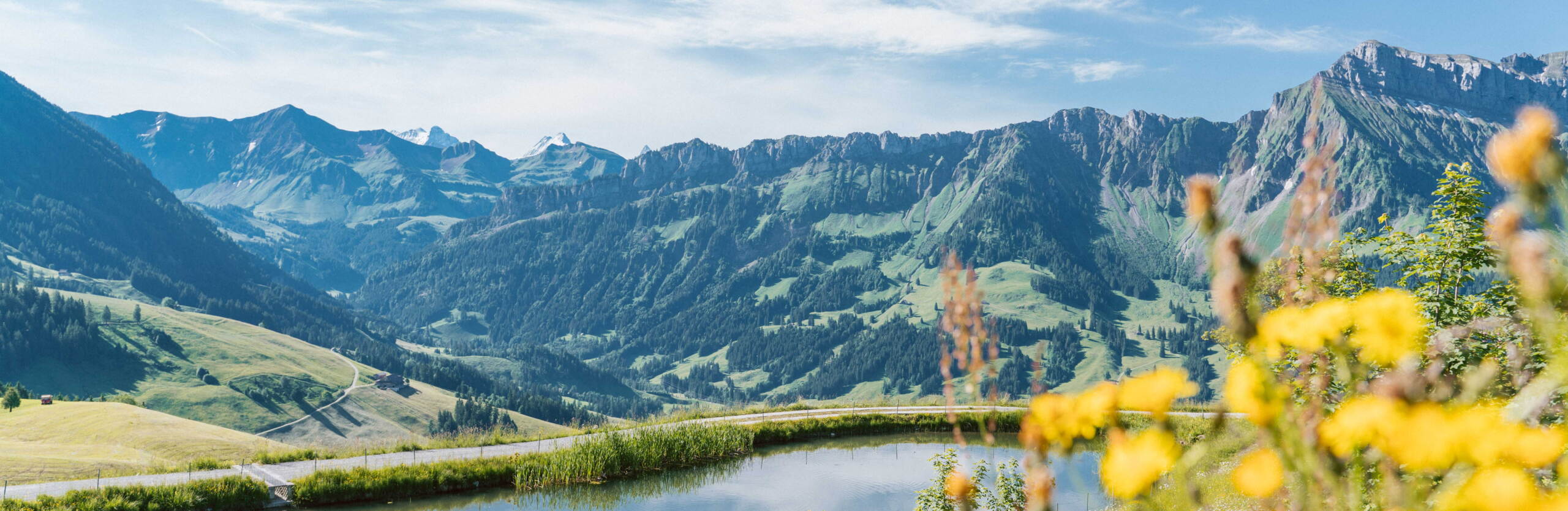 speichersee_marbachegg_marbach_laila-bosco.jpg Speichersee auf der Marbachegg mit Aussicht auf Hohgant, Brienzergrat und die schneebedeckten Alpen