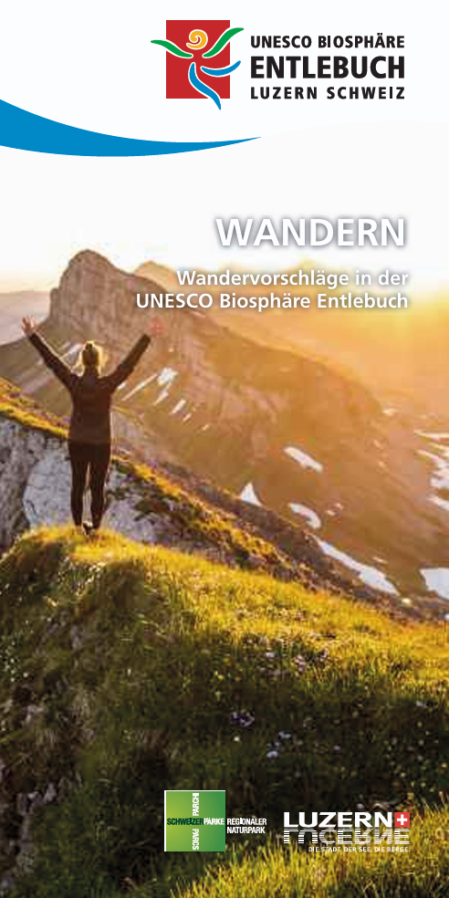 Screenshot 2025-12-16 110145