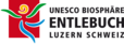 ube_logo.png