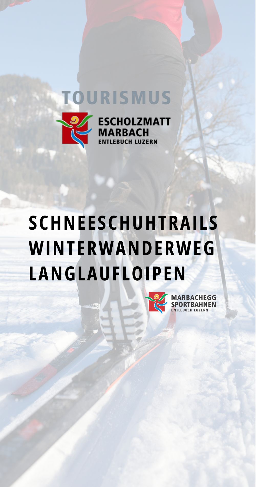 SCHULE  SCHNEESPASS MARBACHEGG   (17 x 10 cm) (1000 x 1900 px) (10)