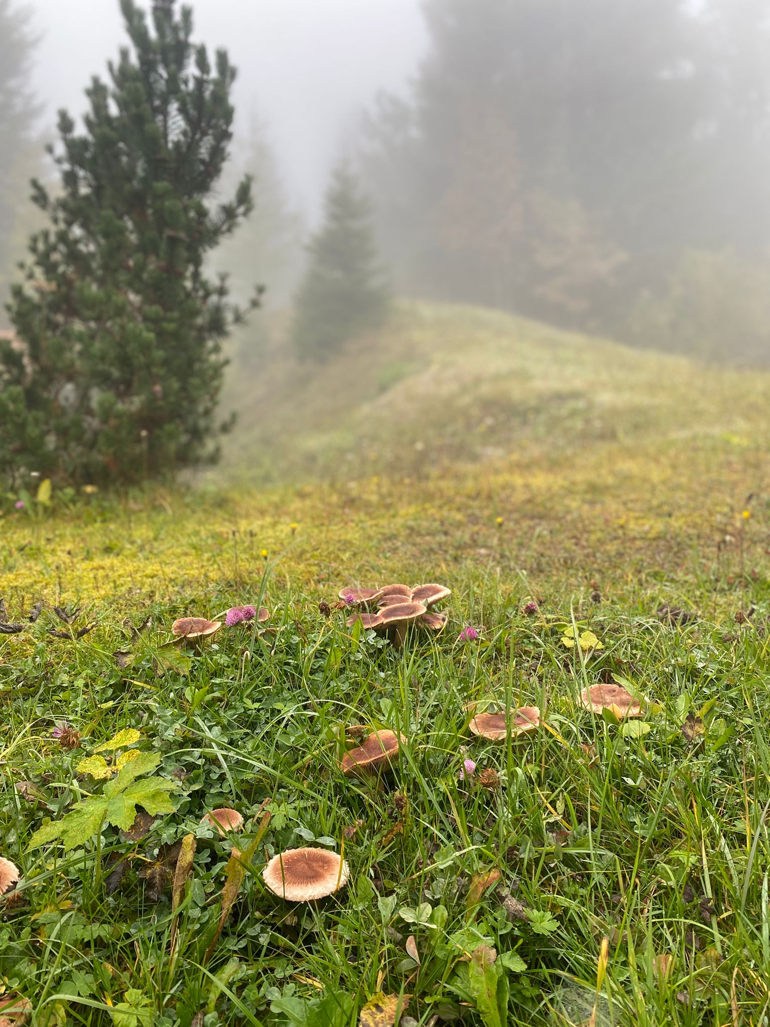 PHOTO-2025-10-10-14-33-18