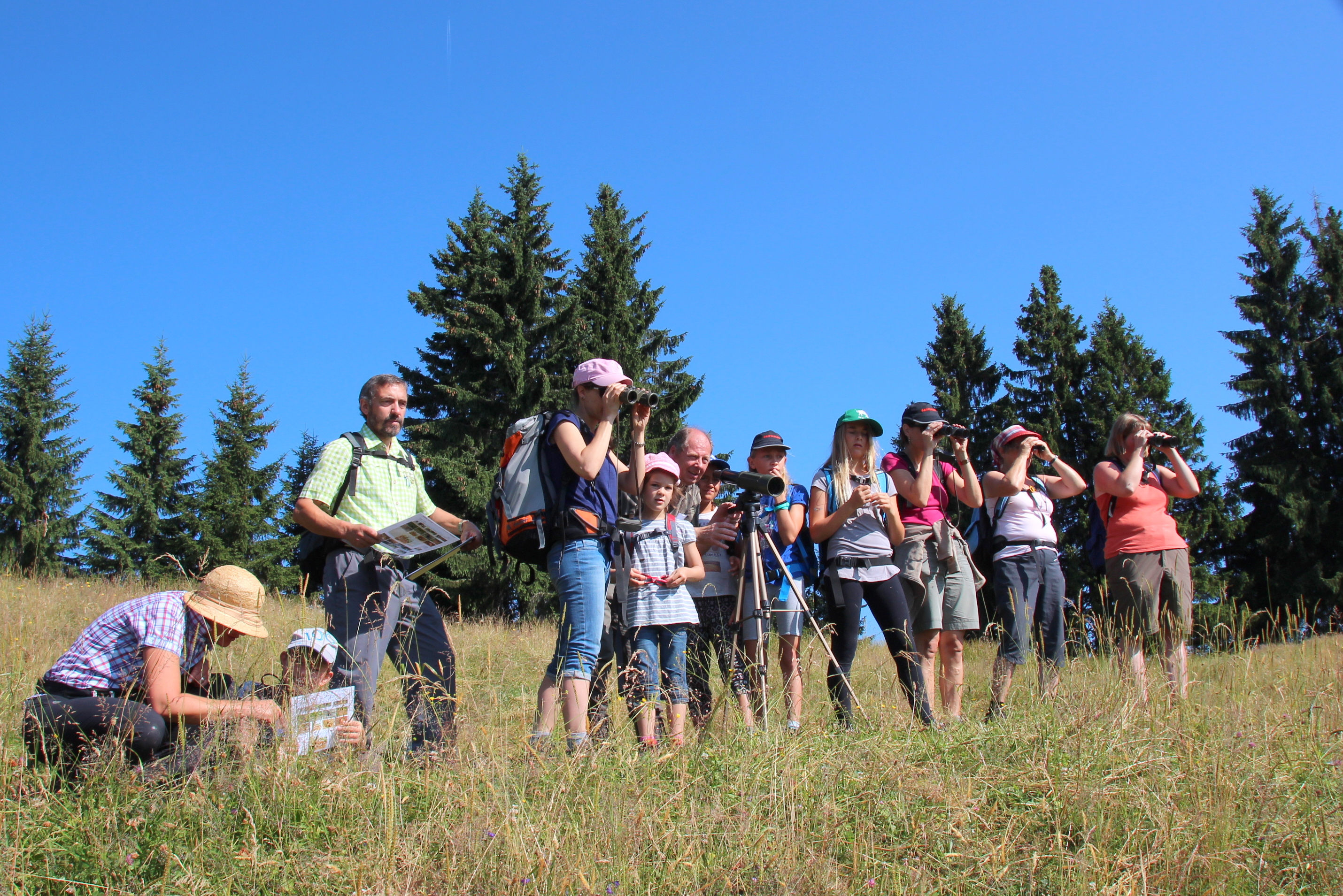 15 2015_07_15_Exkursion_Murmeli, Dachs und Hirsch_Leitung Walter Bieri_Beobachtung Murmeltier_Marbachegg_Marbach_Schangnau_RP (20)